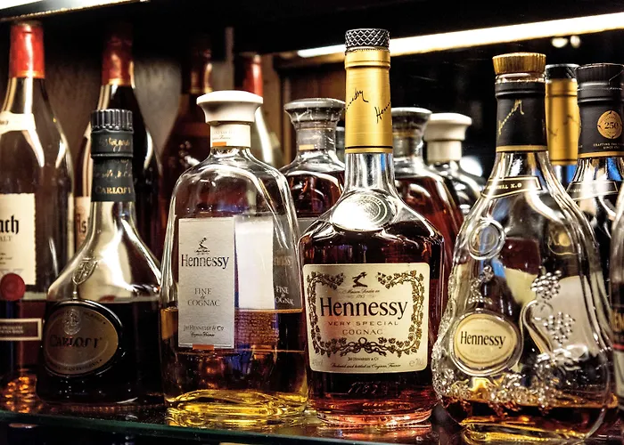 Hotel Leoso Ludwigshafen am Rhein